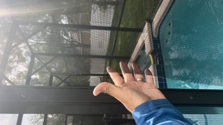 Person's hand touching a pool screen door with trees visible through the mesh