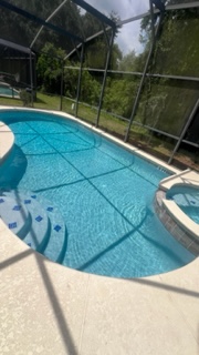 Residential swimming pool with blue water and safety screen enclosure in sunny backyard