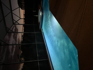 Illuminated swimming pool at night enclosed by screened cage with twilight sky visible